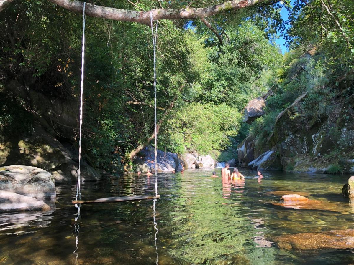 Casa da Zéfinha. Alojamento Local em Cinfães, no Douro Esterno foto